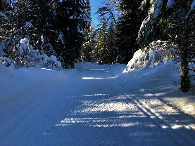 Piste verte de ski de fond de Lachat : Les Plânes