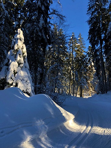 Piste verte de ski de fond de Lachat : Les Plânes