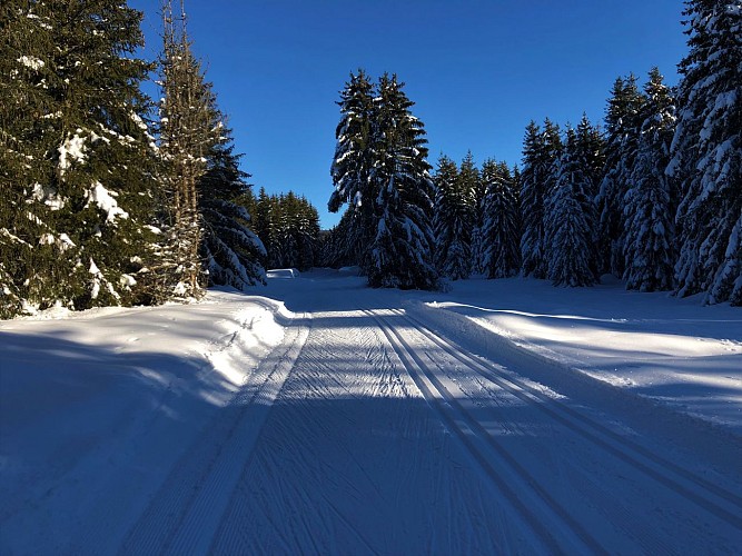 Piste verte de ski de fond de Lachat : Les Plânes