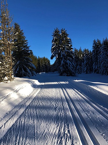 Piste verte de ski de fond de Lachat : Les Plânes