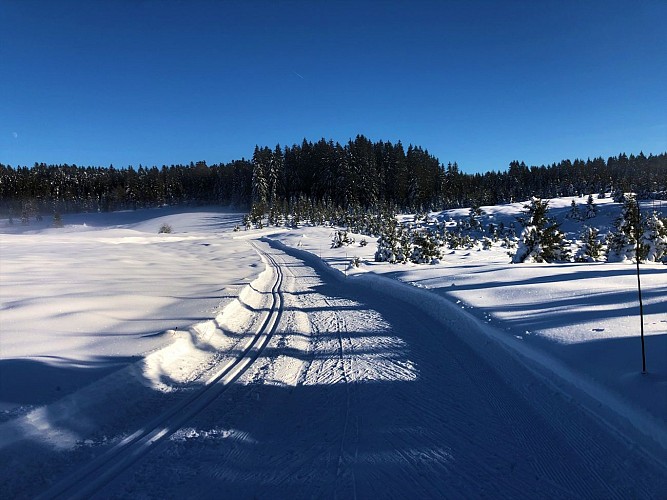 Piste bleue de ski de fond de Lachat : La Chandeleuse