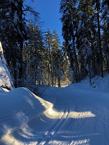 Piste bleue de ski de fond de Lachat : La Chandeleuse