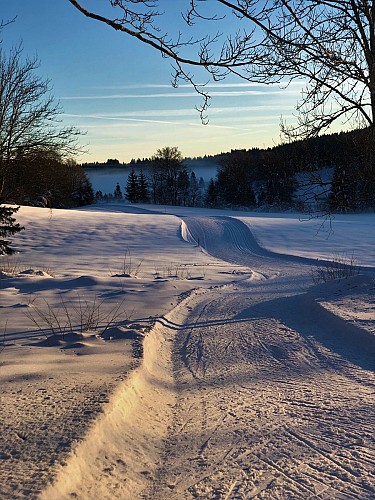 Cross country tracks: red