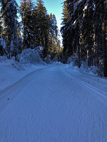 Piste de ski de fond de Lachat