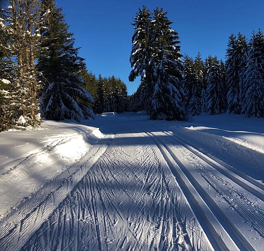 Cross country skiing track of Lachat: Black