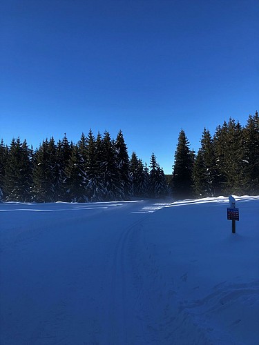Piste de ski de fond de Lachat