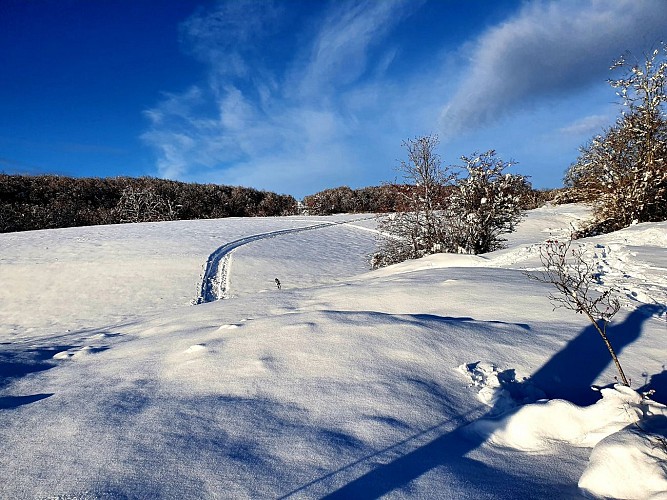 Circuit Raquettes des Plans d'Hotonnes sur le Plateau de Retord