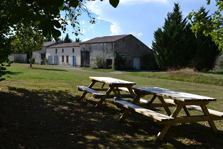 Commune de Monfaucon (11)