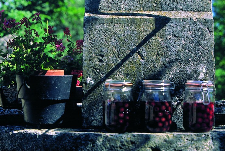 A la découverte de Marmont