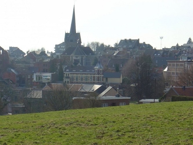 Walk "Herve, un coeur en une heure"