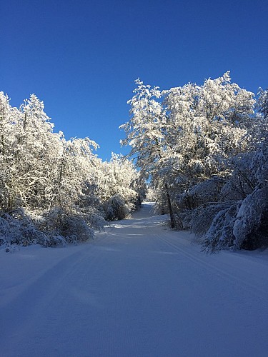 Montée de la Tour en ski de fond depuis les Plans d'Hotonnes