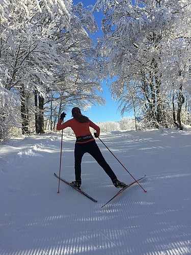 Montée de la Tour en ski de fond depuis les Plans d'Hotonnes