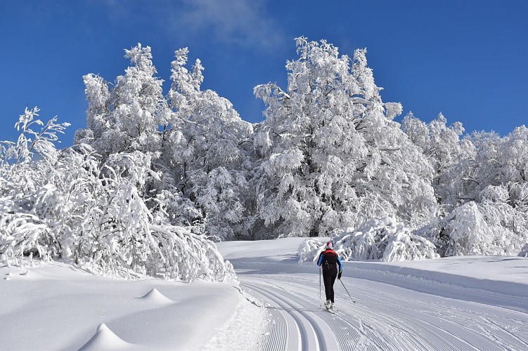 Piste de ski de fond du Plateau de Retord