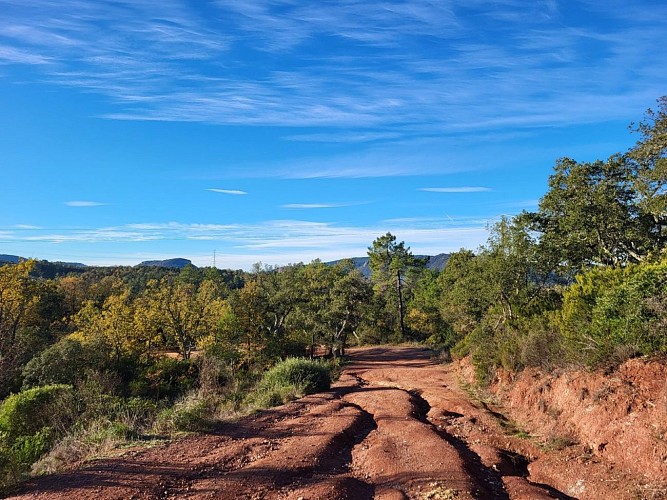 Promenade : Le Lac du Rioutard - Saint-Paul-en-Forêt_Saint-Paul-en-Forêt