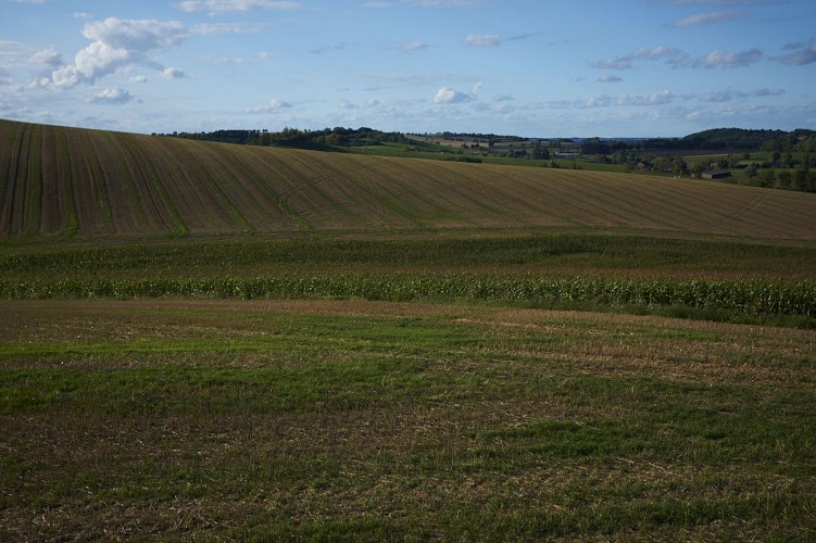 Découverte de l'Allier