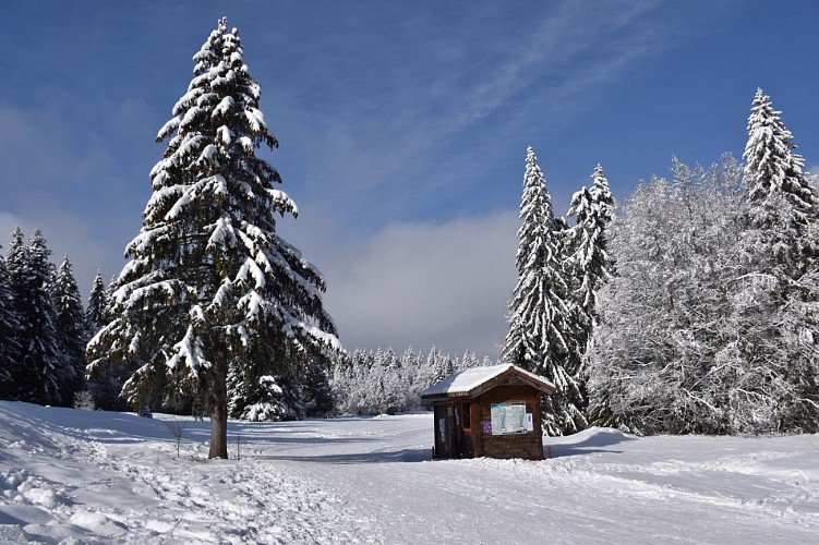Cross country track on Plateau de Retord: La Cuaz