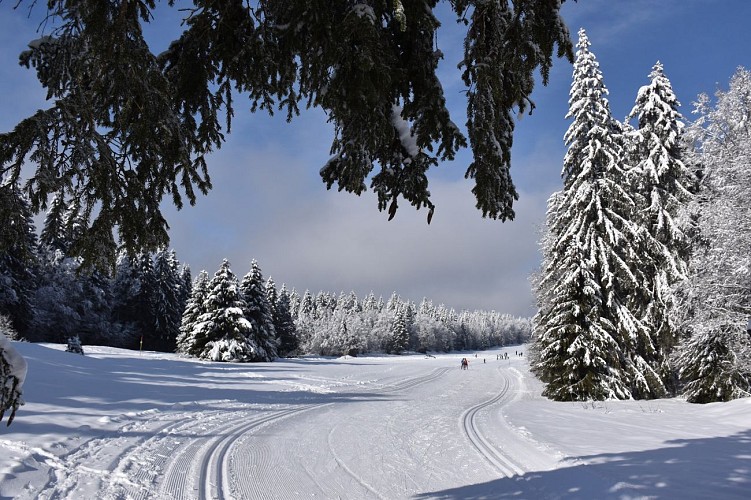 Piste de ski de fond du Plateau de Retord