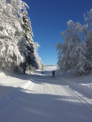 Combe de la Cua en ski de fond sur le Plateau de Retord