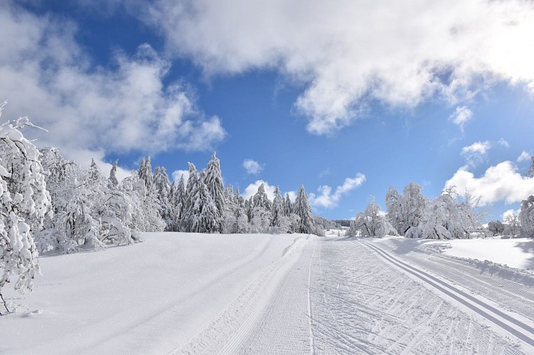 Piste de ski de fond du Plateau de Retord