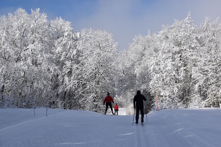 Piste de ski de fond du Plateau de Retord