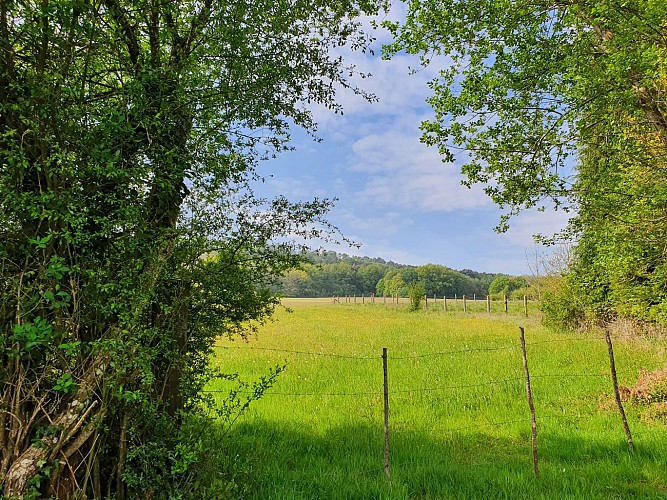 BOUCLE DU BELVEDERE (N°101)