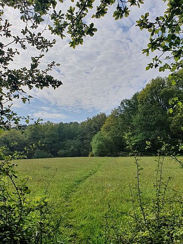 BOUCLE DU BELVEDERE (N°101)