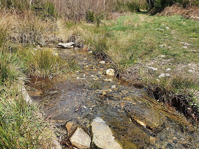 Ucimont prom 42 ruisseau - avril 20 A (10)