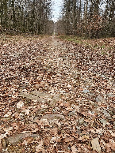 Mogimont prom 40 voie romaine mars20 AV (4)