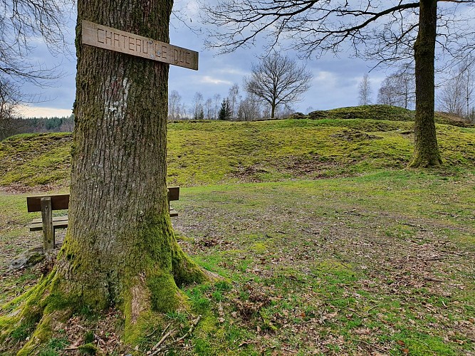 Mogimont Chateau Duc mars 20 AV (10)