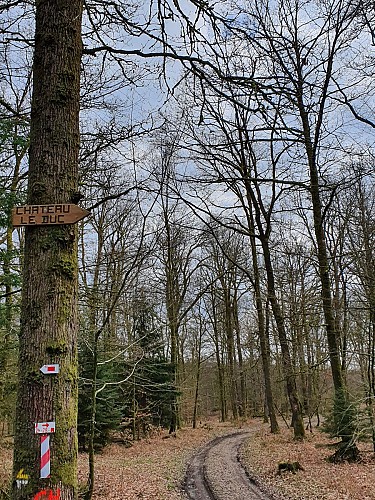 Mogimont prom 40 Chateau Duc mars 20 AV (13)