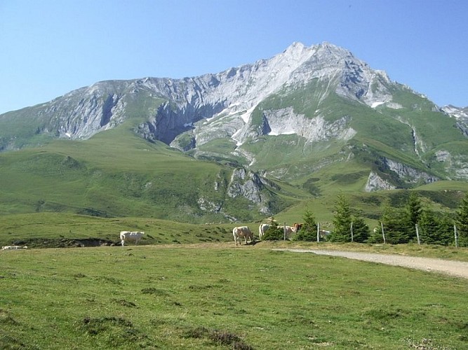 Circuit n°14 - Val d'Azun - Traversée Soulor Couraduque