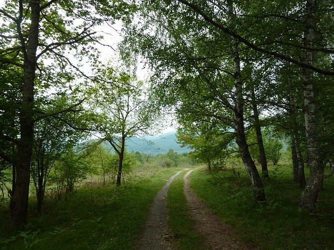 En vallée du Bergons