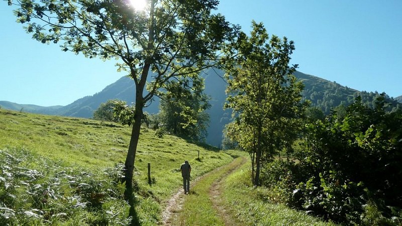 La Prade d'Isaby