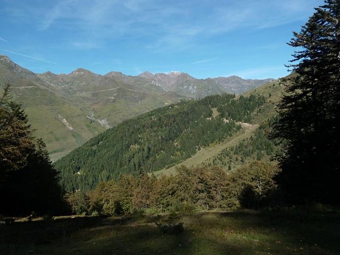 Panorama depuis la forêt de l'Ayré