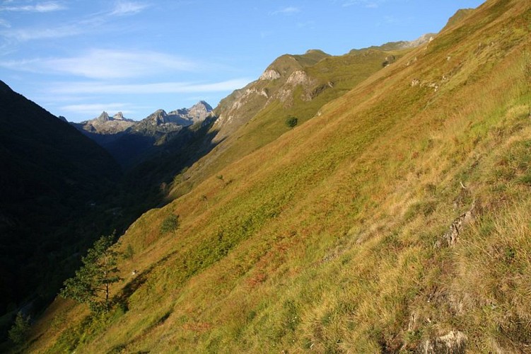 Vue sur la vallée du Tech depuis le Belvédère