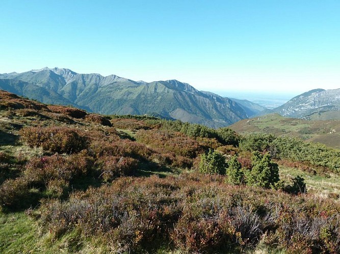 Paysages de landes sur les hauteurs de la vallée de l'Ouzom