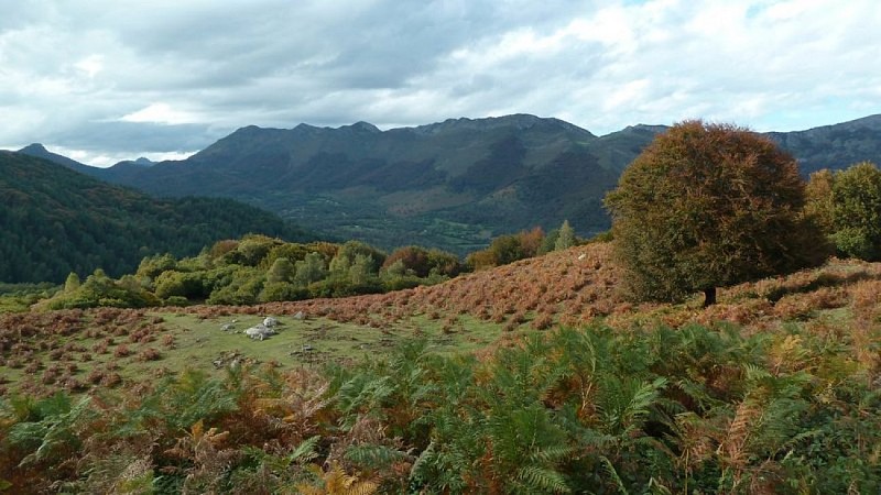 Panorama côté vallée du Bergons