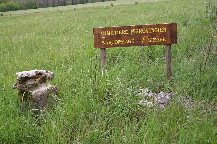 Boucle mérovingienne autour de Saudrupt