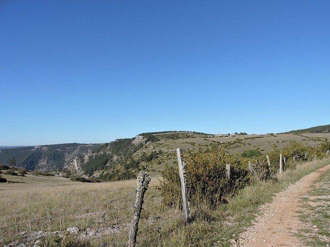 Causse de Sauveterre