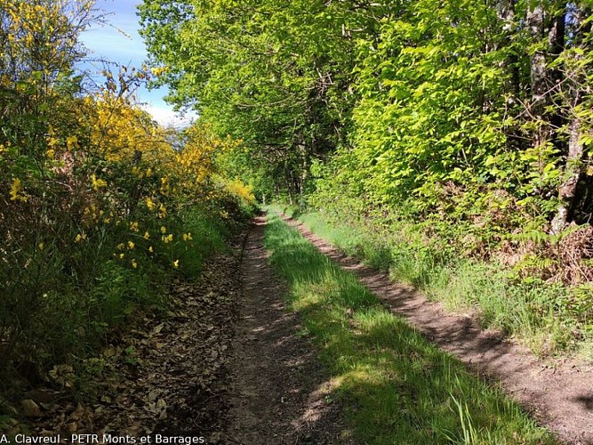Chemin du Puy la Vergne