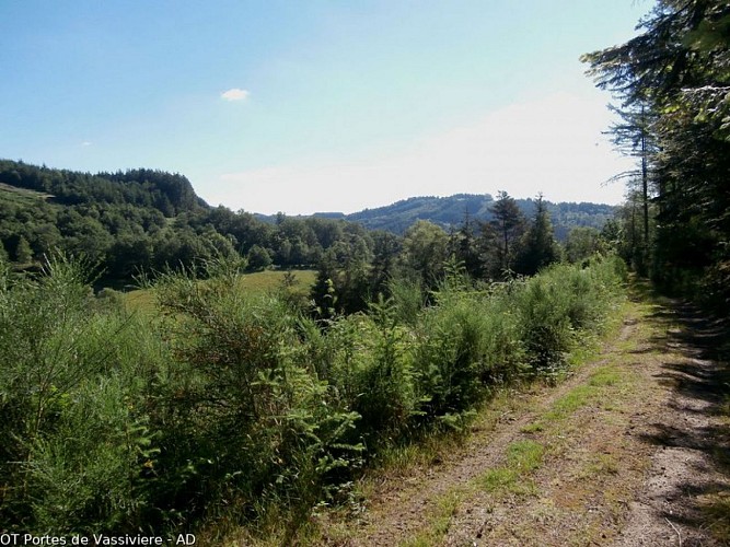 Vue sur les monts du Limousin