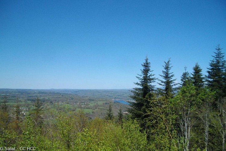 A breath of mountain air