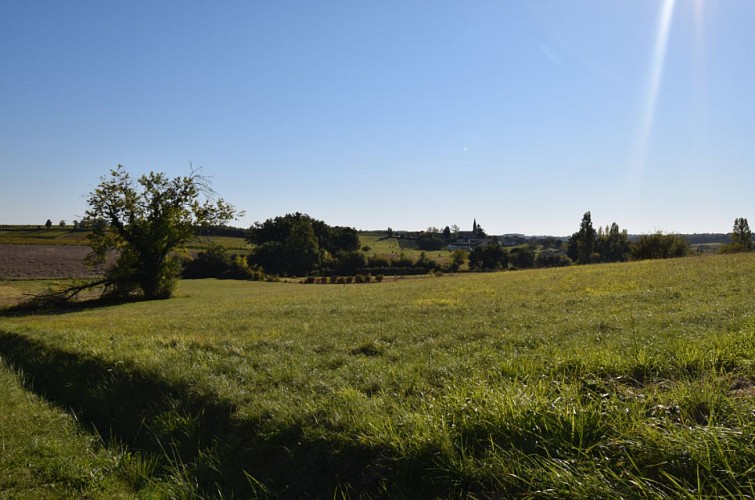 Paysage-village