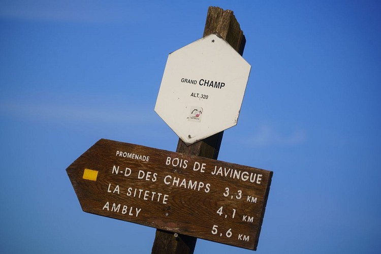 NG02 Promenade de Javingue - Ambly - Balisage rectangle jaune