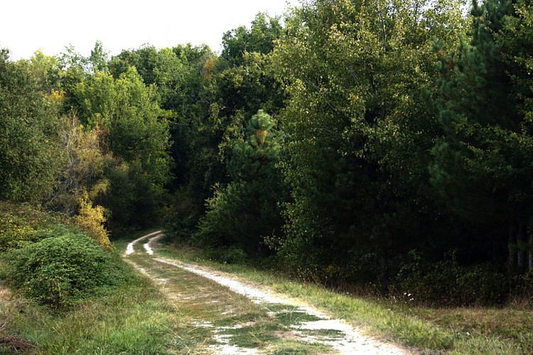 LUNAS__Marie_Grasseau_OTBSD__15_