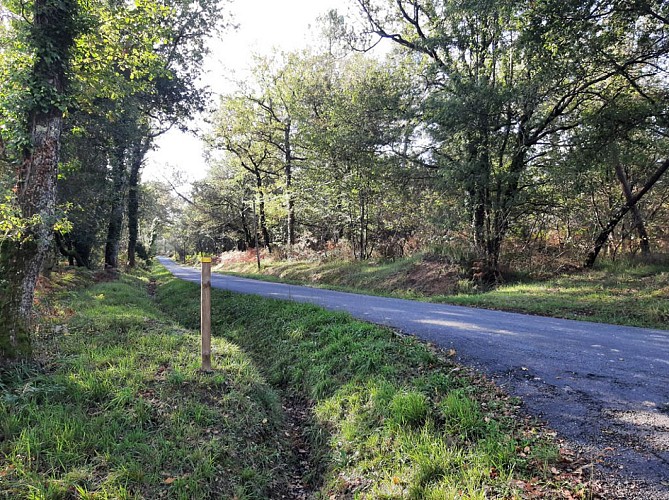 Lieu Dit Peypensou (1)