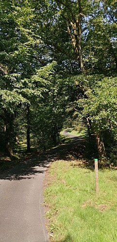 IMG_20210811_123136