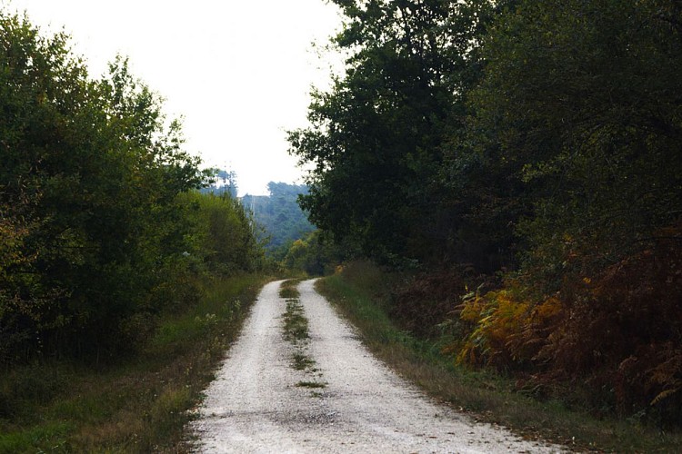 LUNAS__Marie_Grasseau_OTBSD__1_