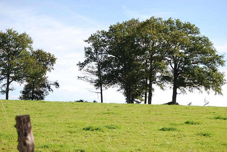 La Boucle VTT d'Aixe-sur-Vienne - Circuit n°2 Val du Val de Vienne Tour