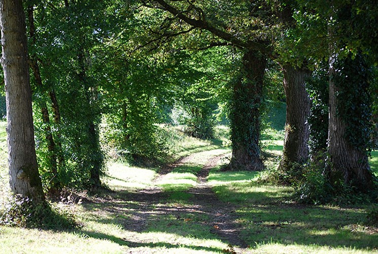 La Boucle de Bosmie l'Aiguille - Circuit n°3 Val de Vienne Tour_1